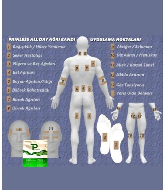 Painless All Day - Pijnloze Band (Pleister) Tegen Gewrichtspijn, Rugpijn, Kramp, Lage Energie | HALAL | 25 Pleisters per pak | Ginseng + L Carnitine