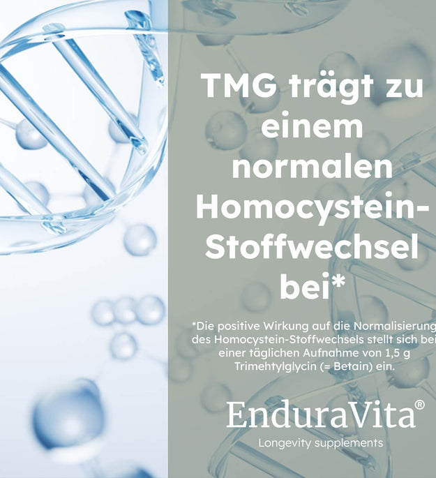 TMG capsules 500mg - 60 capsules